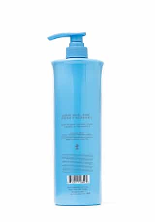 Conditioner for Moisture + Balance SALON-SIZE