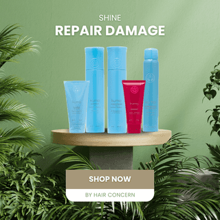 Shine Repair Damage Bundle Kit