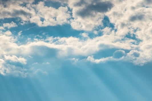 Is Paraben-Free Shampoo Better for Sensitive Scalps?