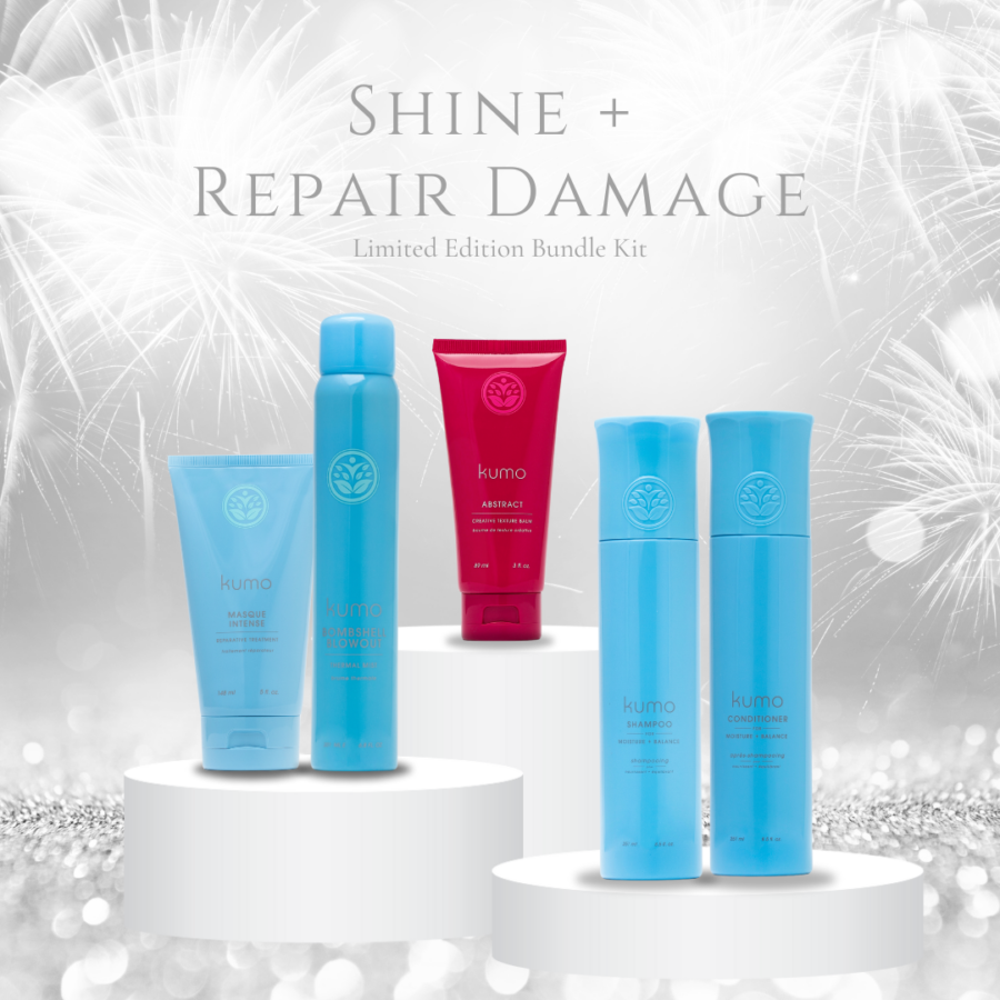 Shine + Repair Damage Bundle Kit