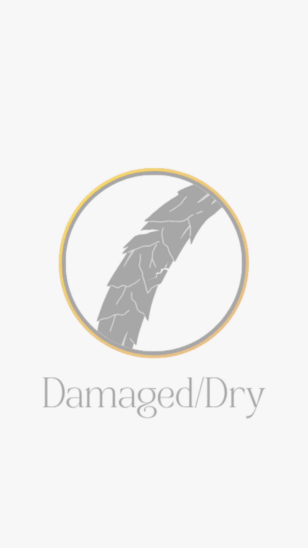 Damaged or Dry Hair